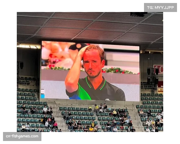 辛纳直落两盘击败德米纳尔,豪取室内硬地30连胜连续三年挺进年终总决赛决赛