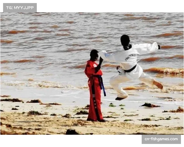 “跆拳道进校园”项目在肯尼亚推广，超百所学校引入基础课程